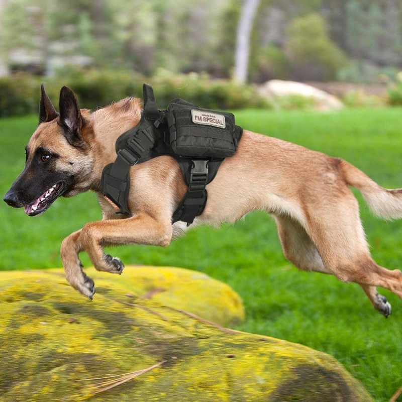 Arnés táctico militar para perros K9, Control fácil y a prueba de Escape para perros pequeños, medianos y grandes, trabajo y ...